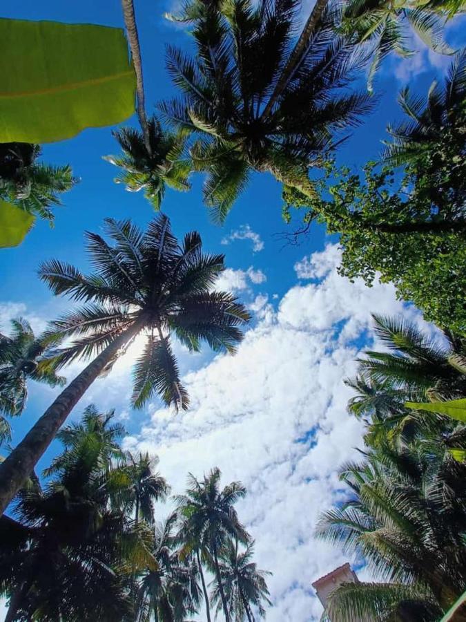 Srushti Sea Villa Resort Diveāgar Eksteriør billede